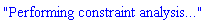 "Performing constraint analysis..."