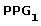 PPG[1]