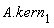 A.kern[1]