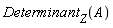 Determinant[Z](A)