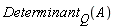 Determinant[Q](A)