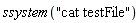 ssystem("cat testFile")