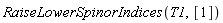 RaiseLowerSpinorIndices(T1, [1])