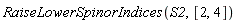 RaiseLowerSpinorIndices(S2, [2, 4])