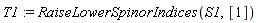T1 := RaiseLowerSpinorIndices(S1, [1])