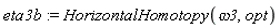 eta3b := HorizontalHomotopy(omega3, opt)