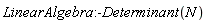 LinearAlgebra:-Determinant(N)