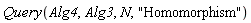 Query(Alg4, Alg3, N, "Homomorphism")