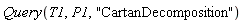 Query(T1, P1, "CartanDecomposition")