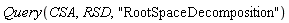 Query(CSA, RSD, "RootSpaceDecomposition")