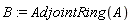 B := AdjointRing(A)
