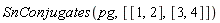 SnConjugates(pg, [[1, 2], [3, 4]])
