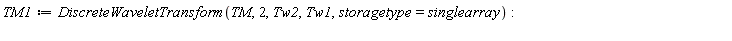 TM1 := DiscreteWaveletTransform(TM, 2, Tw2, Tw1, storagetype = singlearray)