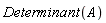Determinant(A)