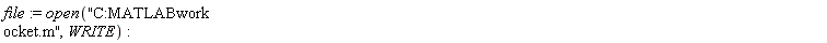 file := open("C:MATLABwork ocket.m", WRITE)