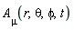 A[mu](r, theta, phi, t)